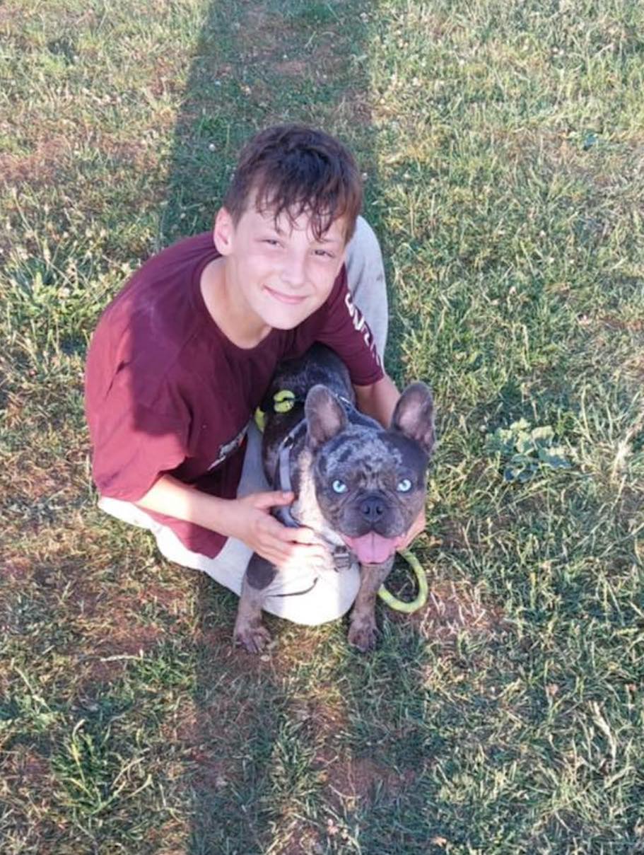 Image of Dave, 2-3 year old male, in the garden. Looking for his forever home from Leash of Life.